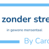 AI zonder stress